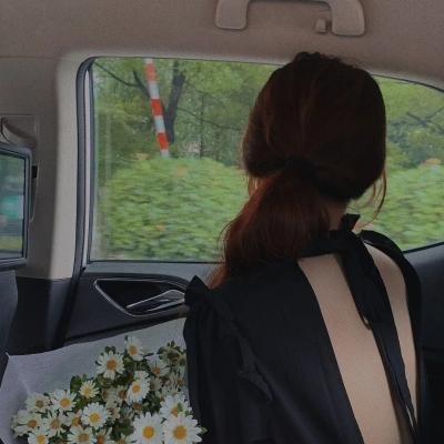晴晚之林